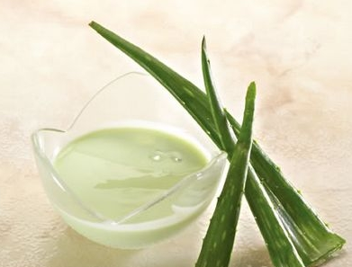 广州丝足坊为您讲解芦荟的美白护肤效果